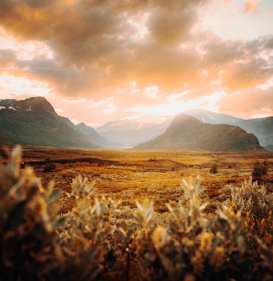 Biobag Field of crops